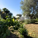 La Fontana Glamping * Caria