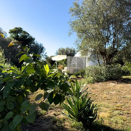 La Fontana Glamping * Caria