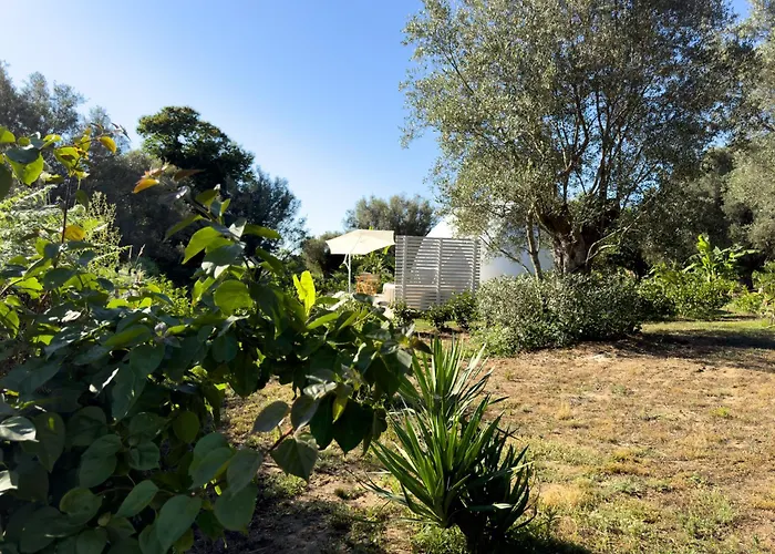 La Fontana Glamping * Caria